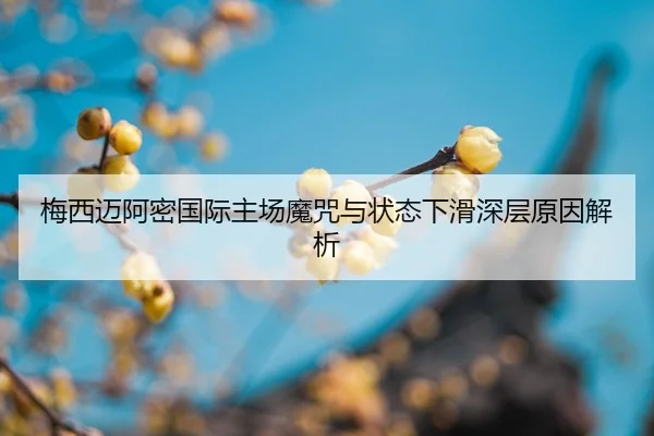 mei-xi-mai-a-mi-guo-ji-zhu-chang-mo-zhou-yu-zhuang-tai-xia-hua-shen-ceng-yuan-yin-jie-xi-2-923.jpg