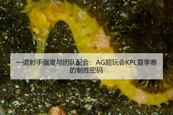 一诺射手强度与团队配合：AG超玩会KPL夏季赛的制胜密码